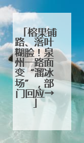 榕果铺路、落叶糊脸！泉州一路面变“溜冰场”，部门回应→