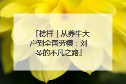 榜样｜从养牛大户到全国劳模：刘琴的不凡之路
