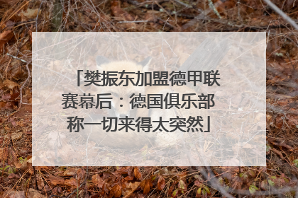 樊振东加盟德甲联赛幕后：德国俱乐部称一切来得太突然