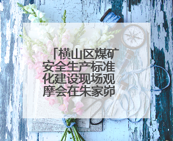 横山区煤矿安全生产标准化建设现场观摩会在朱家峁煤矿召开