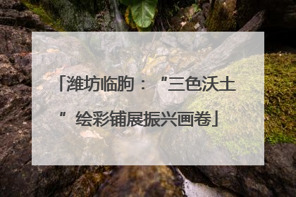潍坊临朐：“三色沃土”绘彩铺展振兴画卷