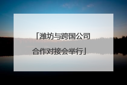 潍坊与跨国公司合作对接会举行