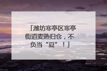 潍坊寒亭区寒亭街道麦熟归仓，不负当“夏”！