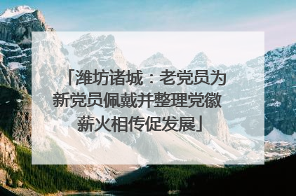 潍坊诸城：老党员为新党员佩戴并整理党徽 薪火相传促发展