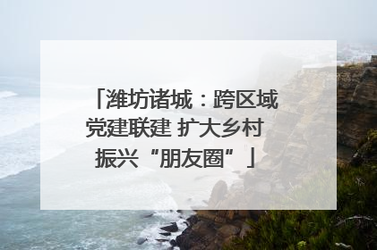 潍坊诸城：跨区域党建联建 扩大乡村振兴“朋友圈”