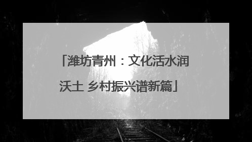 潍坊青州：文化活水润沃土 乡村振兴谱新篇