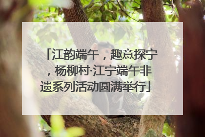 江韵端午，趣意探宁，杨柳村·江宁端午非遗系列活动圆满举行