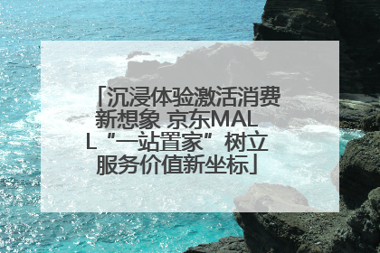 沉浸体验激活消费新想象 京东MALL“一站置家”树立服务价值新坐标