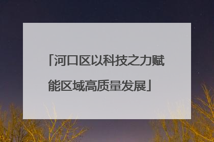 河口区以科技之力赋能区域高质量发展