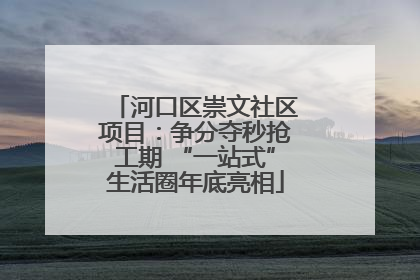 河口区崇文社区项目：争分夺秒抢工期 “一站式”生活圈年底亮相