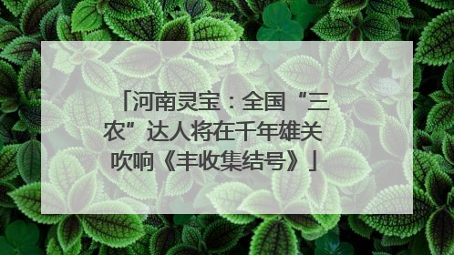 河南灵宝：全国“三农”达人将在千年雄关吹响《丰收集结号》