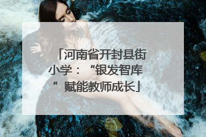 河南省开封县街小学：“银发智库”赋能教师成长