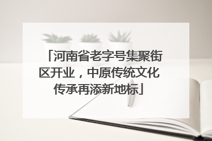 河南省老字号集聚街区开业，中原传统文化传承再添新地标