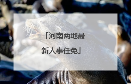 河南两地最新人事任免
