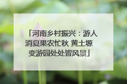 河南乡村振兴：游人消夏果农忙秋 黄土塬变游园处处皆风景