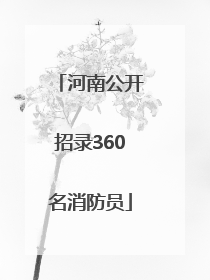 河南公开招录360名消防员