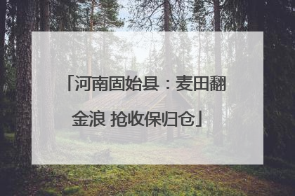 河南固始县：麦田翻金浪 抢收保归仓