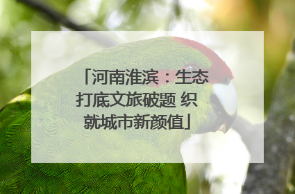 河南淮滨：生态打底文旅破题 织就城市新颜值