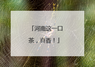 河南这一口茶，真香！
