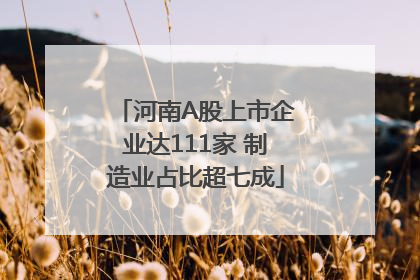 河南A股上市企业达111家 制造业占比超七成