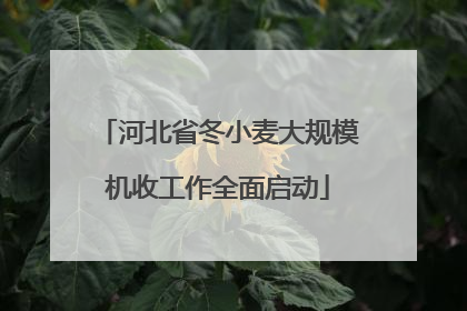 河北省冬小麦大规模机收工作全面启动