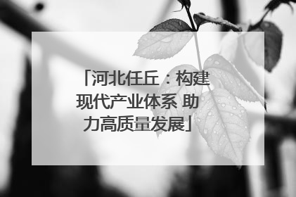 河北任丘：构建现代产业体系 助力高质量发展