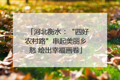 河北衡水：“四好农村路”串起美丽乡愁 绘出幸福画卷