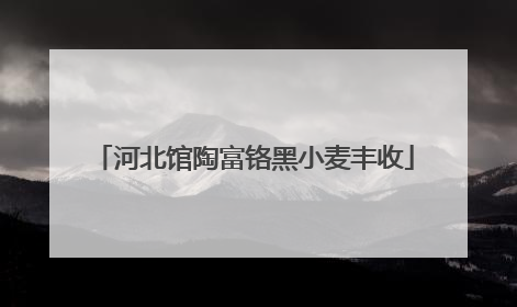 河北馆陶富铬黑小麦丰收