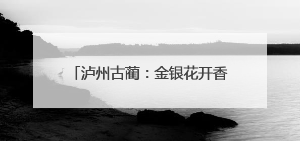 泸州古蔺：金银花开香满山 产业铺就致富路