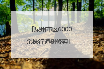 泉州市区6000余株行道树修剪