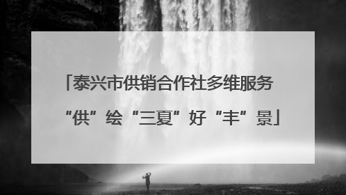 泰兴市供销合作社多维服务 “供”绘“三夏”好“丰”景