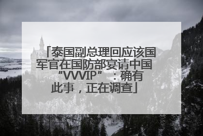 泰国副总理回应该国军官在国防部宴请中国“VVVIP”：确有此事，正在调查