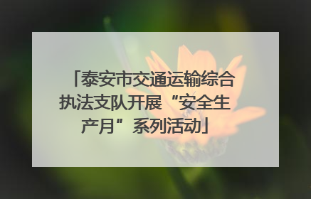 泰安市交通运输综合执法支队开展“安全生产月”系列活动