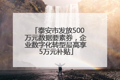 泰安市发放500万元数据要素券，企业数字化转型最高享5万元补贴