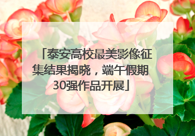 泰安高校最美影像征集结果揭晓，端午假期30强作品开展