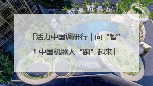 活力中国调研行｜向“智”！中国机器人“跑”起来