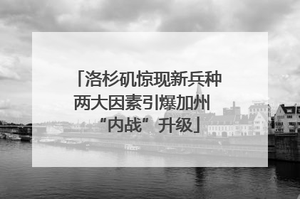 洛杉矶惊现新兵种 两大因素引爆加州“内战”升级