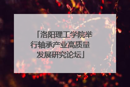 洛阳理工学院举行轴承产业高质量发展研究论坛