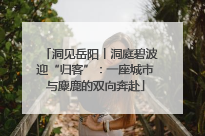 洞见岳阳丨洞庭碧波迎“归客”：一座城市与麋鹿的双向奔赴