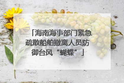 海南海事部门紧急疏散船舶撤离人员防御台风“蝴蝶”