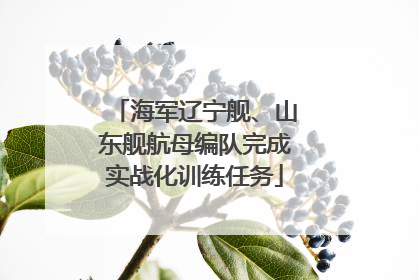 海军辽宁舰、山东舰航母编队完成实战化训练任务