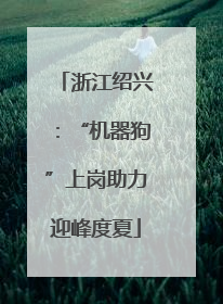 浙江绍兴：“机器狗”上岗助力迎峰度夏