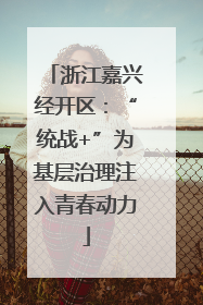 浙江嘉兴经开区：“统战+”为基层治理注入青春动力
