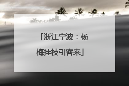 浙江宁波：杨梅挂枝引客来