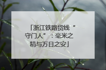 浙江铁路货线“守门人”：毫米之精与万日之安