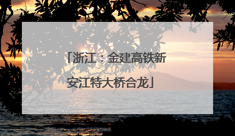 浙江：金建高铁新安江特大桥合龙