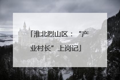淮北烈山区：“产业村长”上岗记