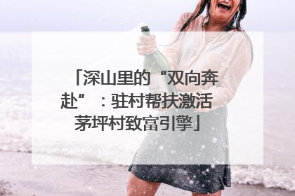 深山里的“双向奔赴”：驻村帮扶激活茅坪村致富引擎