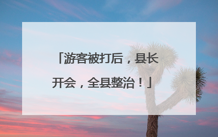 游客被打后，县长开会，全县整治！