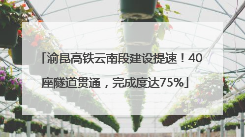 渝昆高铁云南段建设提速！40座隧道贯通，完成度达75%